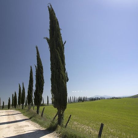 Baldovino Di Monte Bed and Breakfast Monte San Savino Εξωτερικό φωτογραφία