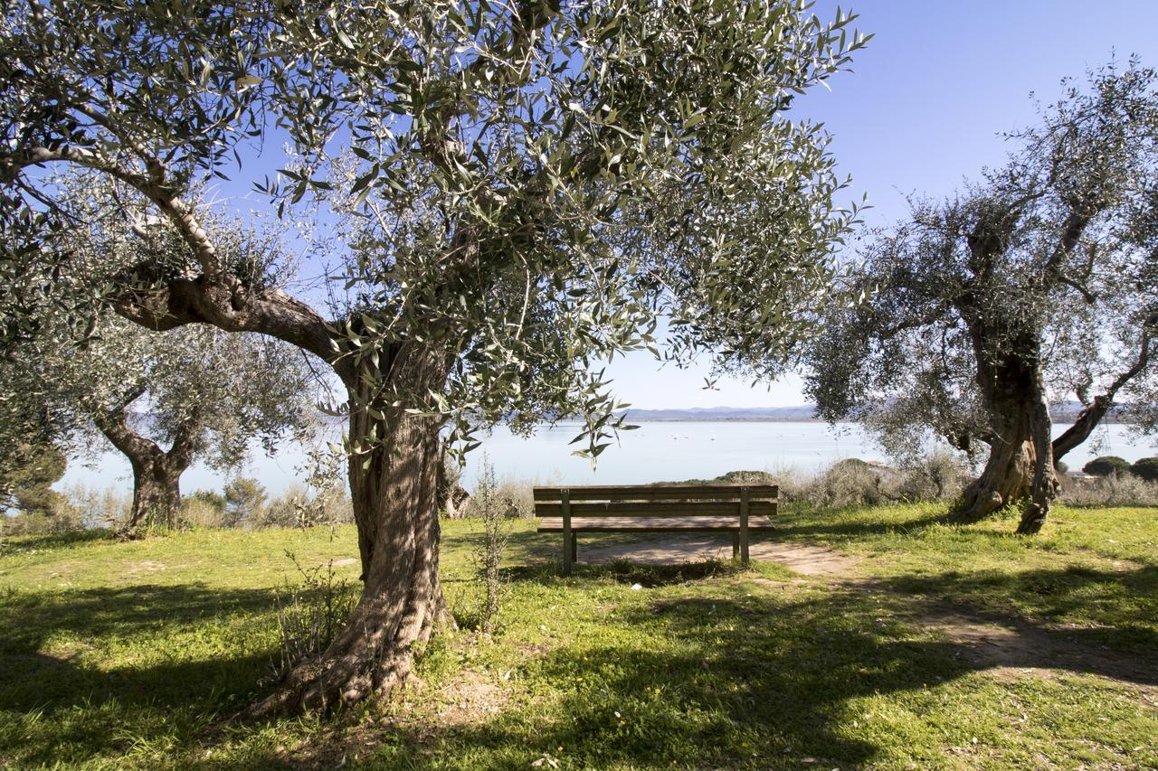 Baldovino Di Monte Bed and Breakfast Monte San Savino Εξωτερικό φωτογραφία